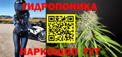 трава Лесосибирск